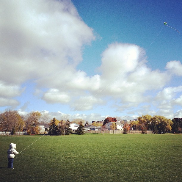 Flying a Kite